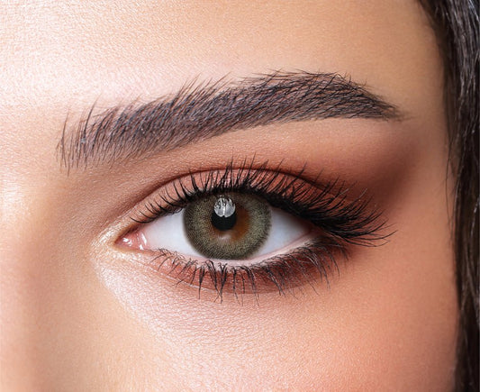 BELLA PINE - ONEDAY COLLECTION