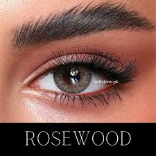 BELLA ROSEWOOD - ONEDAY COLLECTION